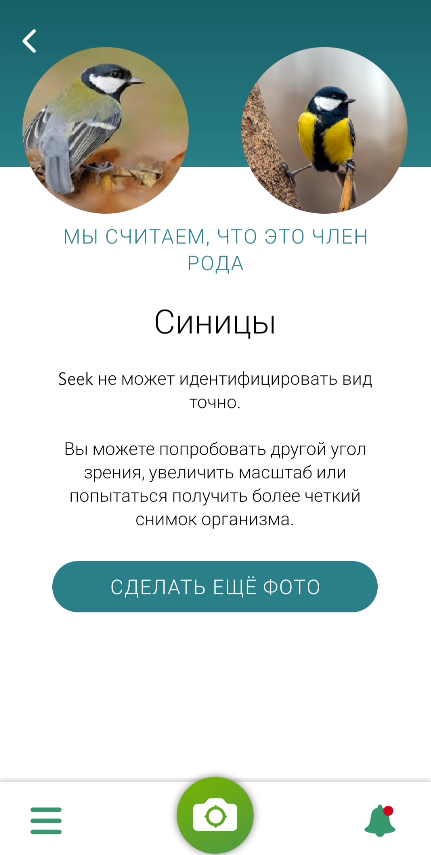 Определить птицу по фото онлайн