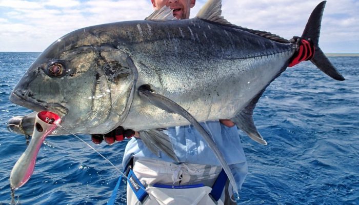 Кревал - Джек - каранг