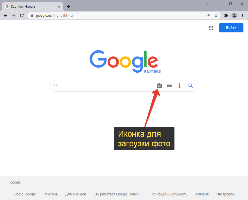 Определить птицу по фото онлайн