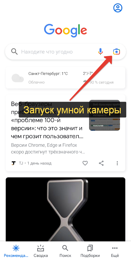 Определить птицу по фото онлайн