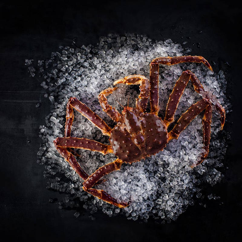 Камчатский краб: описание, где обитает, размер, вес, чем питается, враги