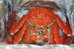 камчатский-краб-59-300x201.jpg