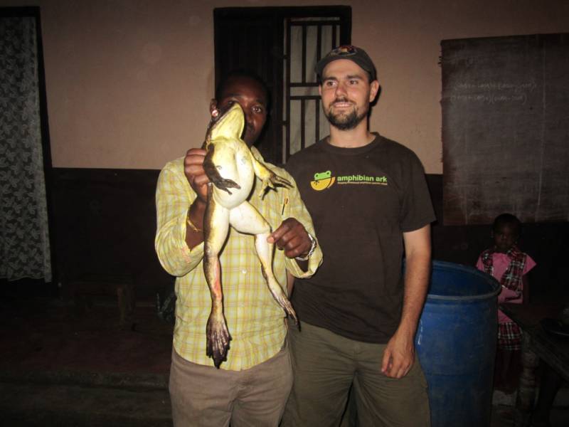 Лягушка-голиаф - описание, где обитает, размер, вес, виды, Красная книга