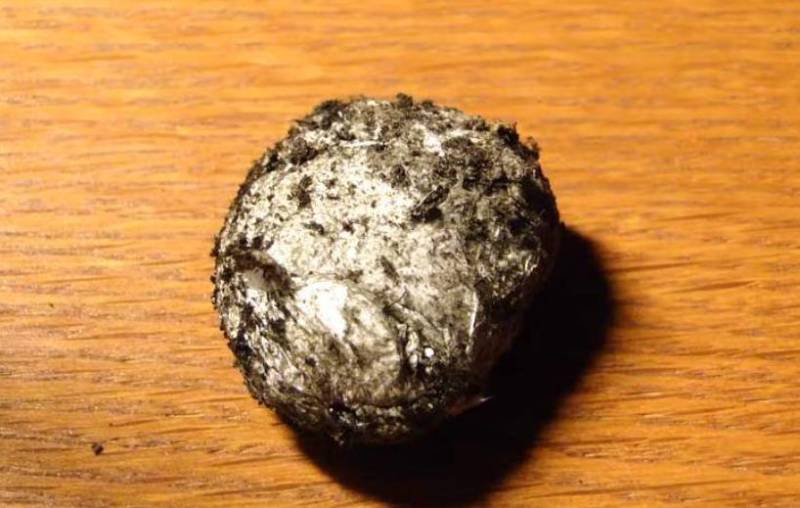 Паук-птицеед в Красной книге: какие тарантулы занесены и почему