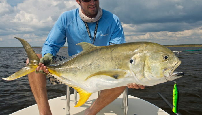 Желтоперый каранкс