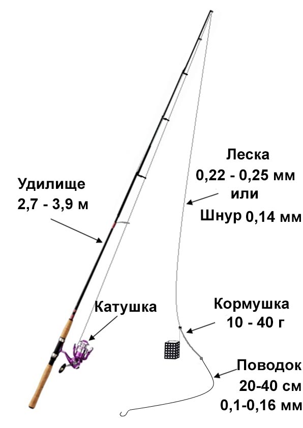 Ловля карася весной на фидер - тактика, поиск и снасти