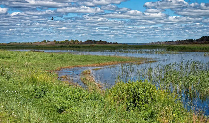 Заповедники Алтайского края и национальные парки. Список, названия, фото