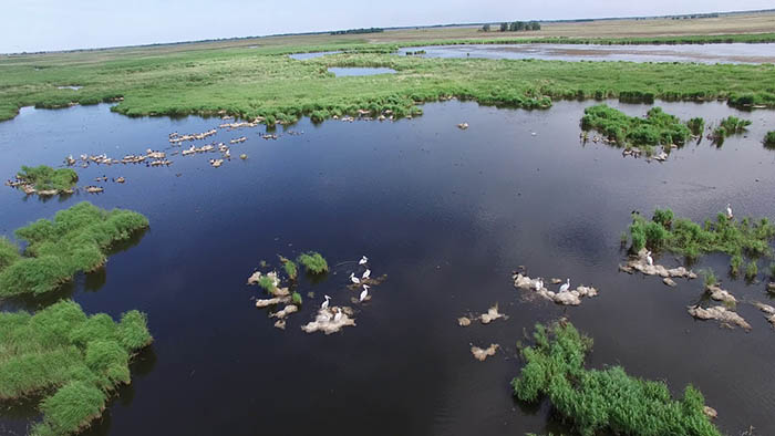 Заповедники Алтайского края и национальные парки. Список, названия, фото