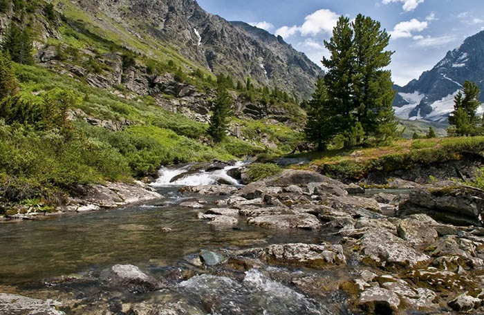 Заповедники Алтайского края и национальные парки. Список, названия, фото