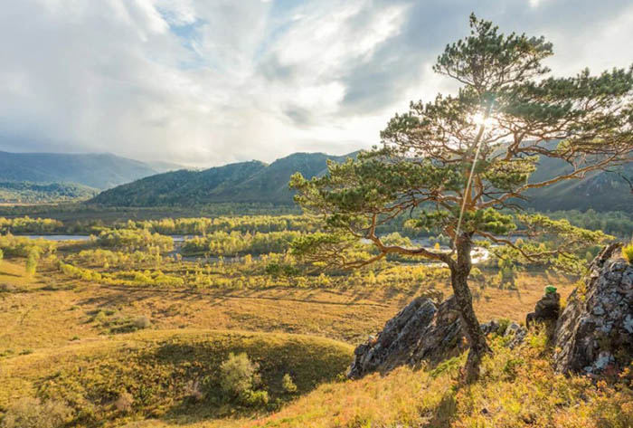 Заповедники Алтайского края и национальные парки. Список, названия, фото