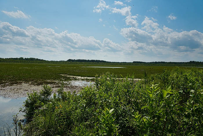 Заповедники Алтайского края и национальные парки. Список, названия, фото