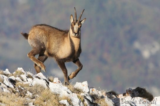 Шесть фактов