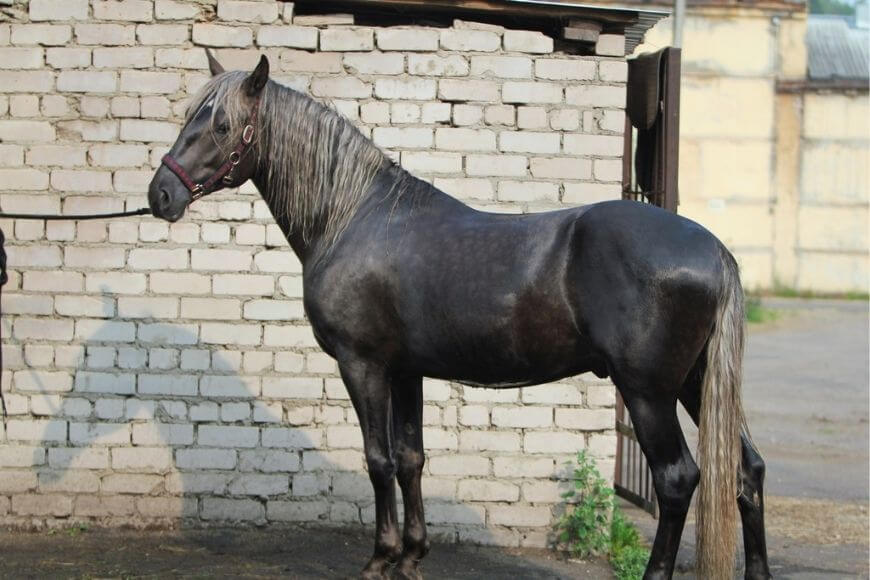 Пепельно-черный костюм