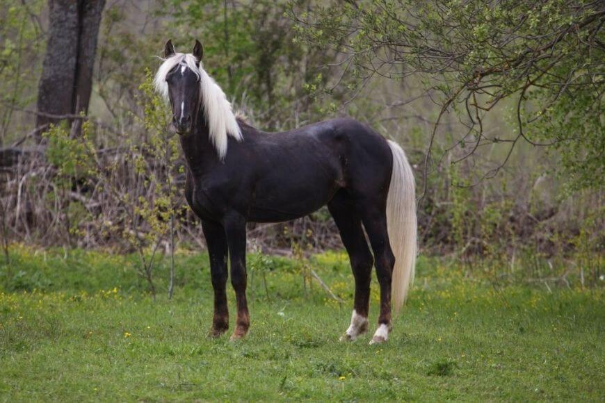 Серебристо-черный костюм