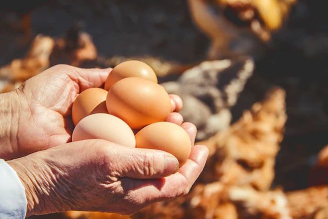 Куриные яйца