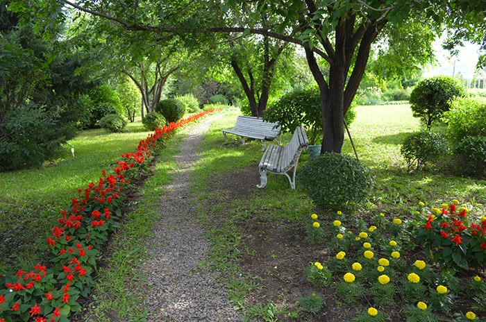 Забайкальский ботанический сад, Забайкальский край