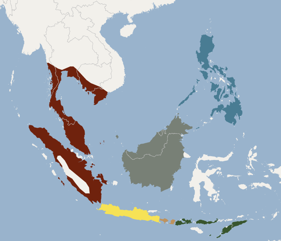Гигантская летучая лисица: описание