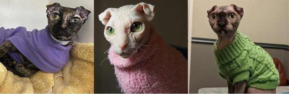 украинский левкой в одежде