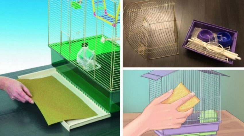 Уборка и обработка клетки