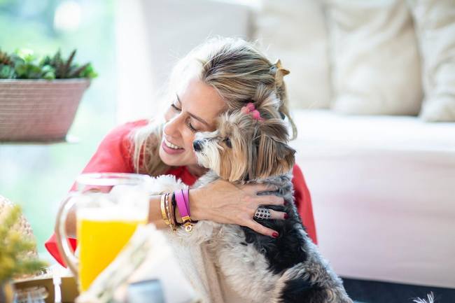 Бивер йоркширский терьер - описание породы и характера, содержание йоркшир бивера