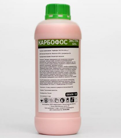 Кивсяки многоножки на даче, чем питается, как бороться и избавиться