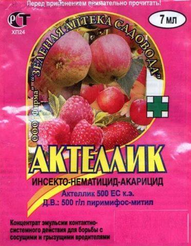 Кивсяки многоножки на даче, чем питается, как бороться и избавиться