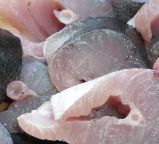 Жаба, которая вынашивает детей на спине