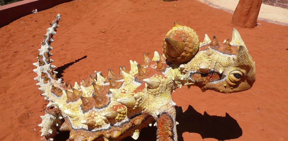 Ящерица молох – загадка австралийских пустынь