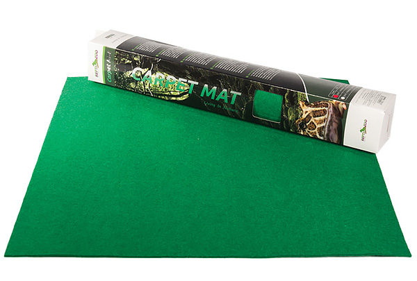 Василиск: описание рептилии, особенности, виды, образ жизни