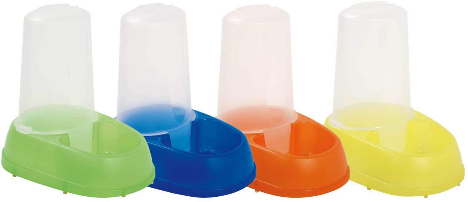 Александрийский попугай: описание, виды, содержание и уход