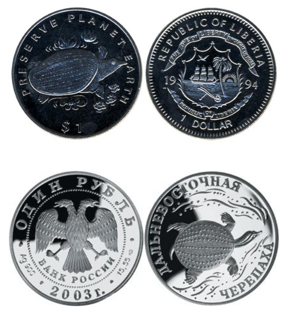 Китайская черепаха Трехкилевая (Трионикс) - содержание в домашних условиях