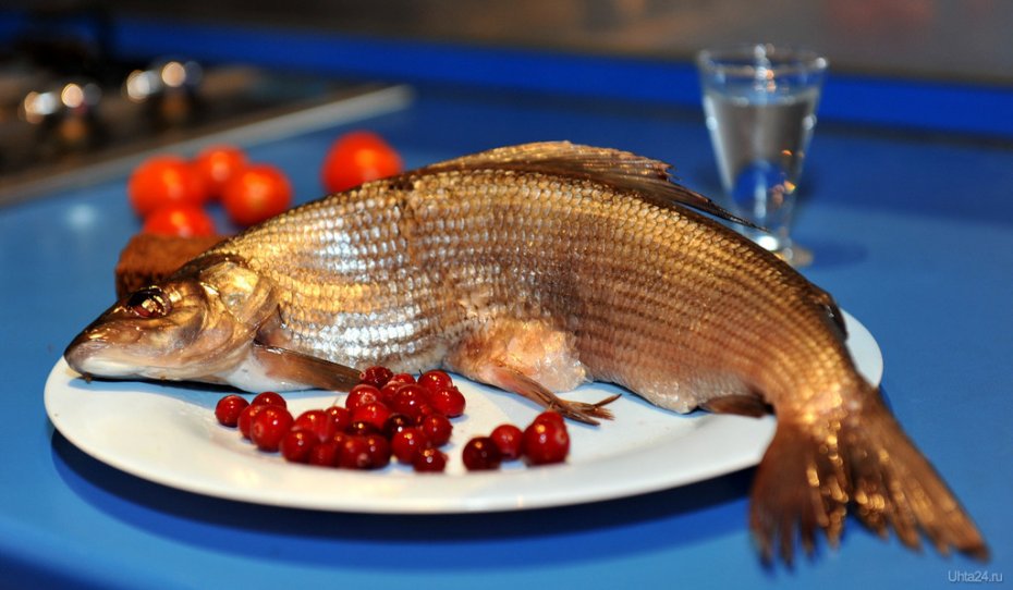 Gastronomisk verdi av harr
