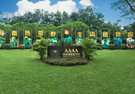 Тигролев: описание, интересные факты, особенности