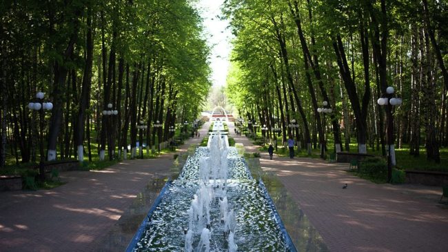 В этом парке много развлечений для детей