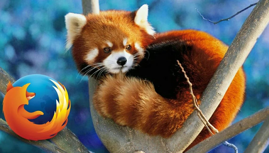 Красная панда — очаровательное животное, занесенное в Красную книгу