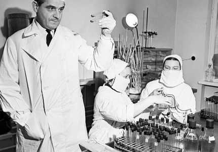 Тигролев: описание, интересные факты, особенности