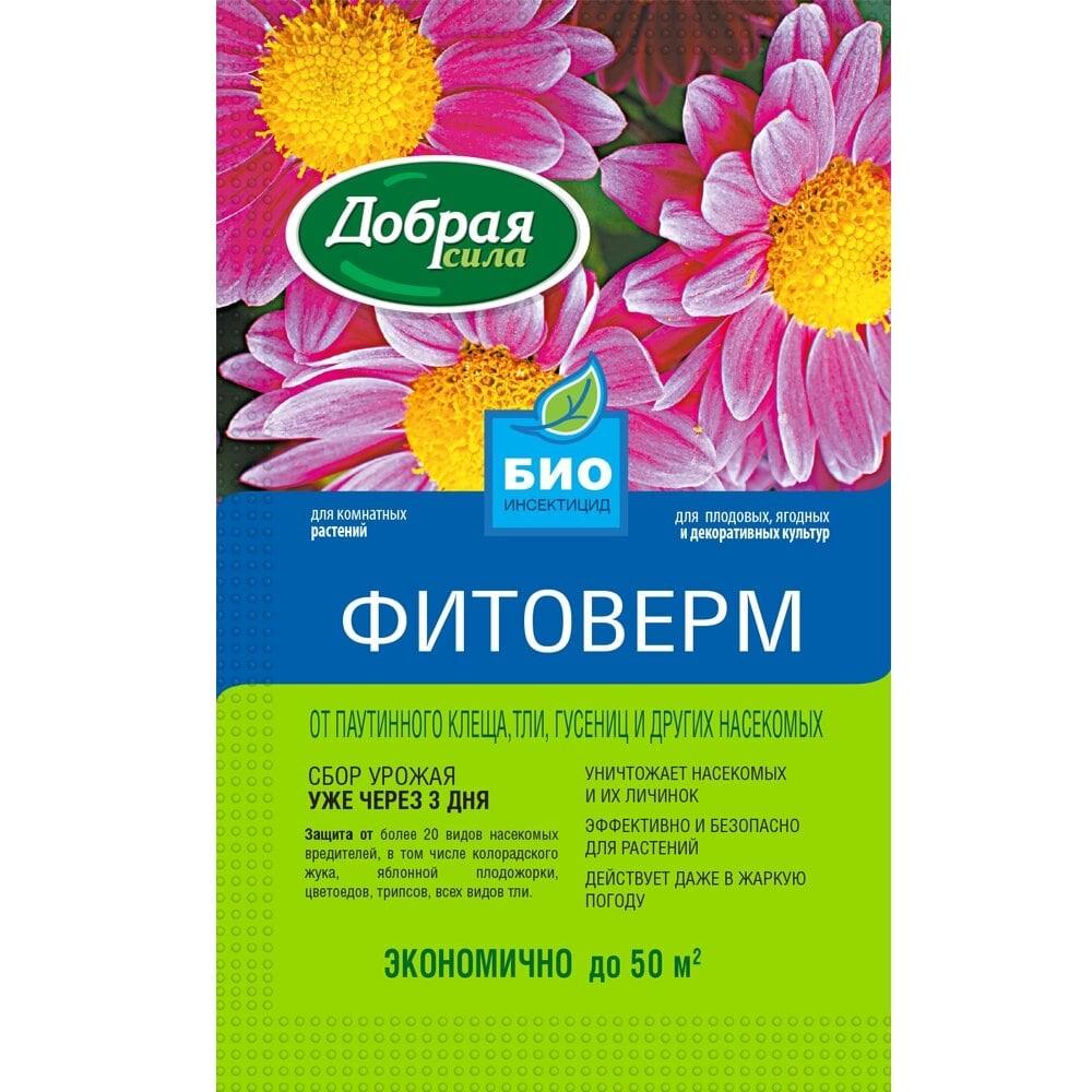 Бабочка капустница (капустная белянка): Чем вредны и как выглядят