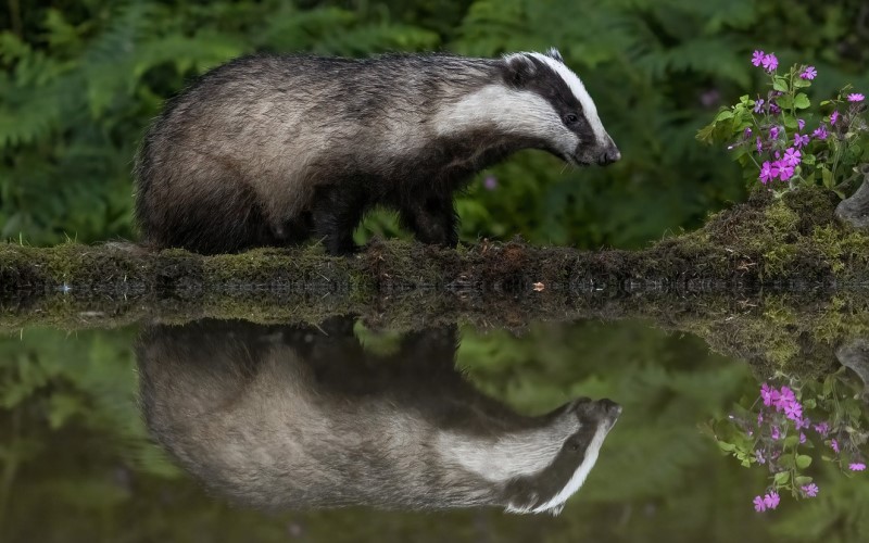 У воды У воды
