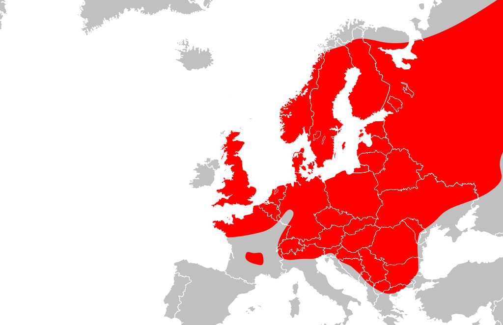 Европейский отбор