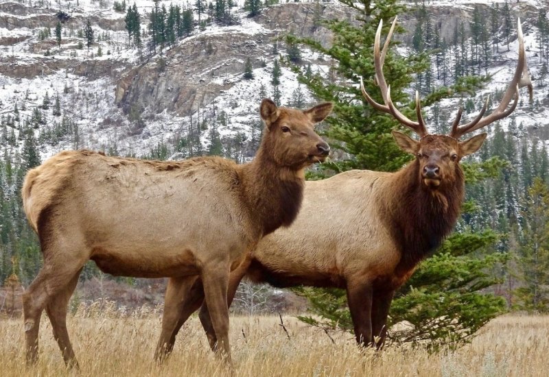 Женщина и мужчина