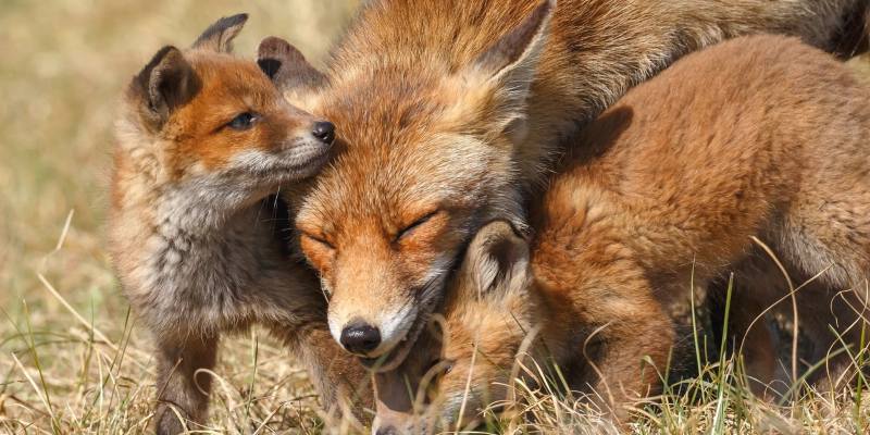 С детьми С детьми