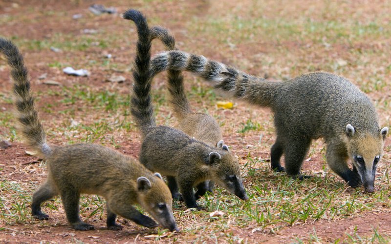 С детьми С детьми