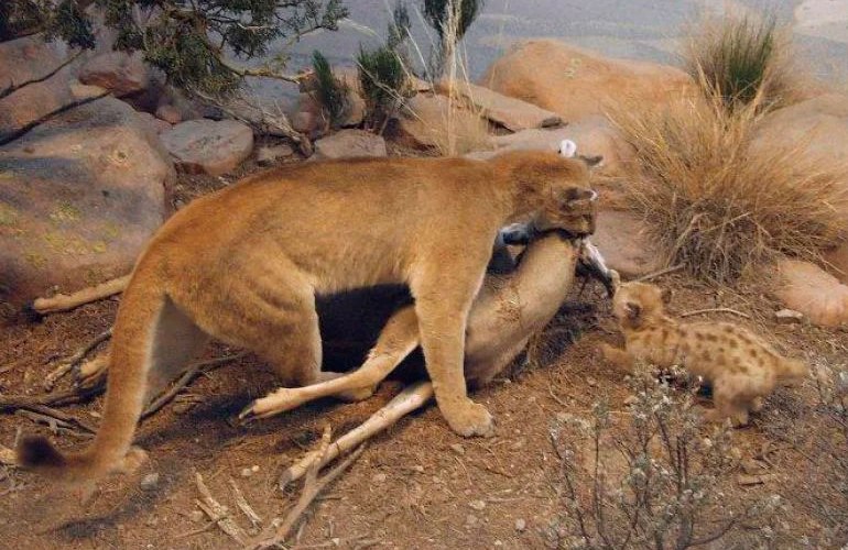 С изменением С изменением