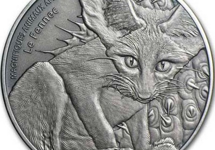 Лисица фенек: особенности, рацион, среда обитания