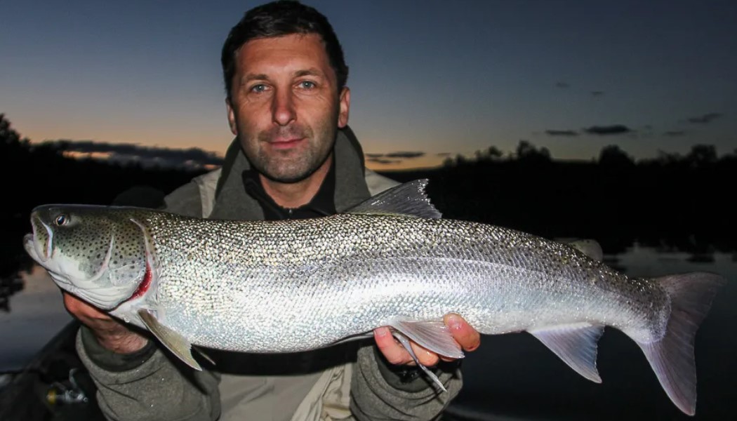 Сахалинский таймень