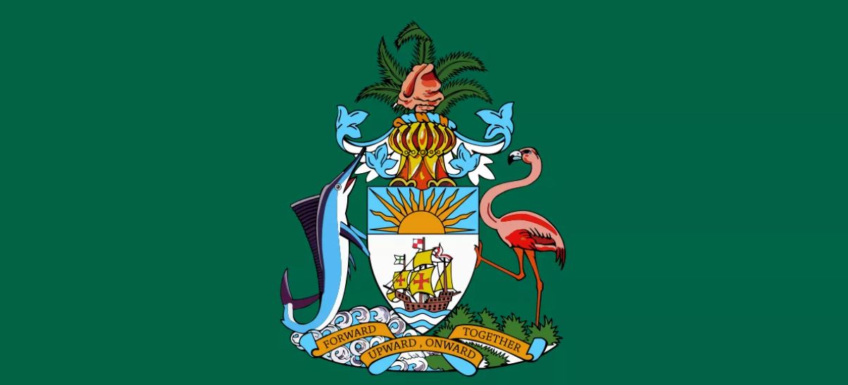 Фламинго — восьмое чудо света. Описание и среда обитания птицы