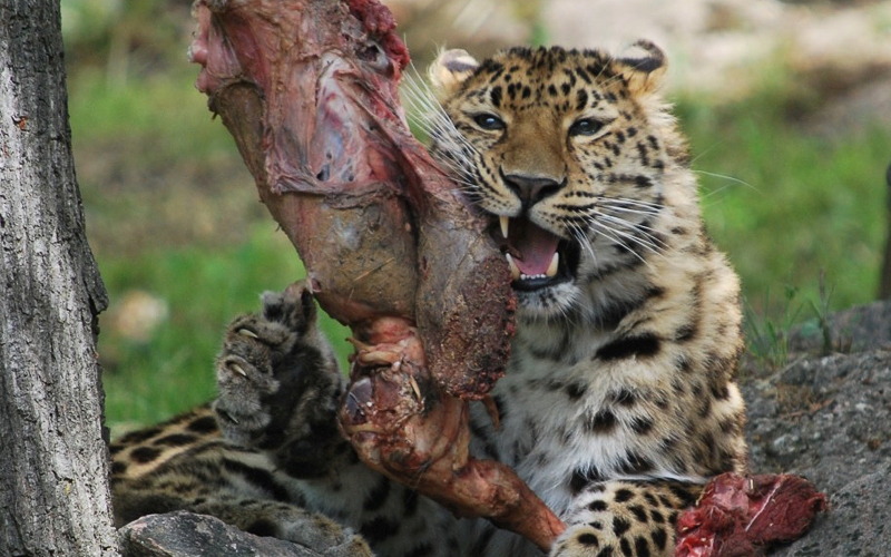 С изменением С изменением