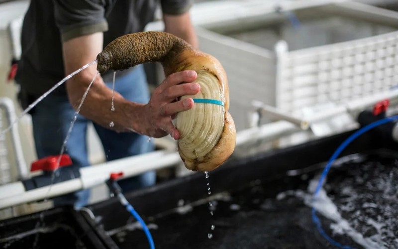 Процесс приготовления Процесс приготовления