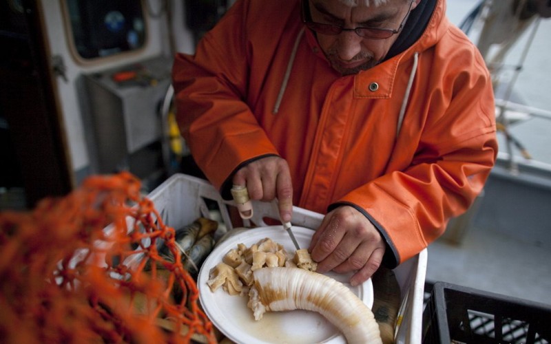 Разрезание моллюска Разрезание моллюска