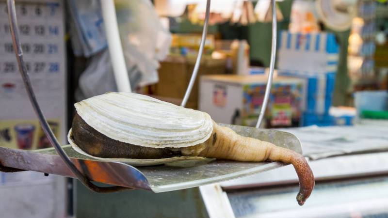 По шкале По шкале